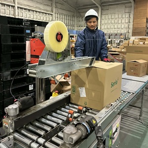 サンプルメージ