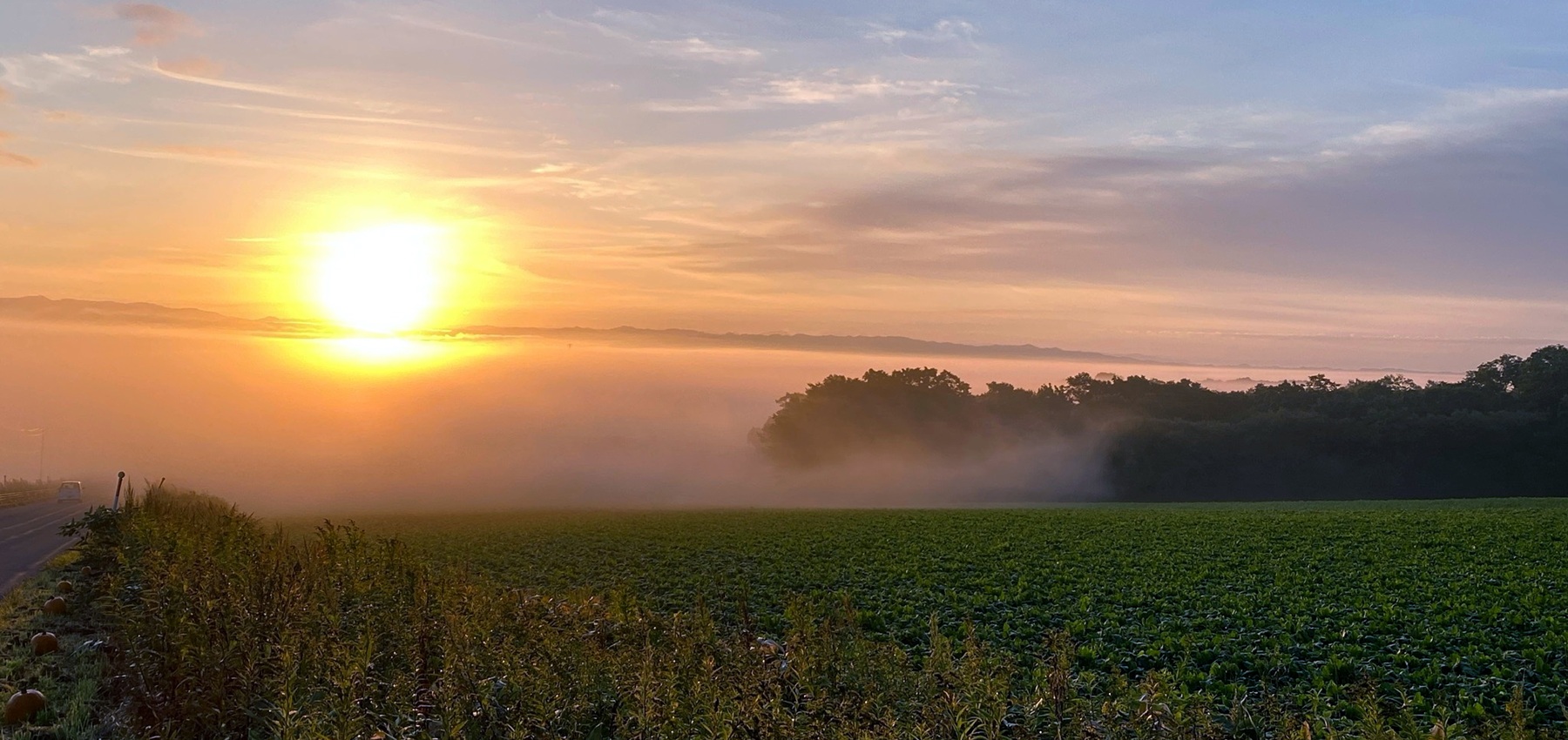 トップイメージ02